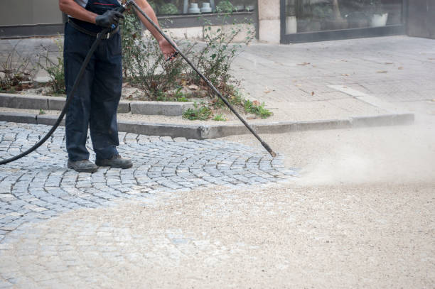 Best Sidewalk and Walkway Cleaning  in Gambrills, MD